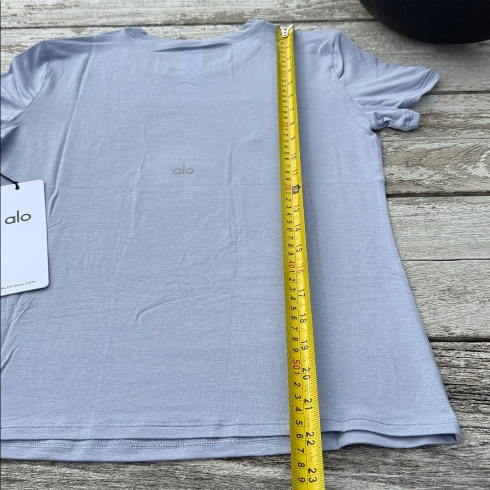 ALO All Day Short Sleeve tee winter‎ frost NWT SIZE Small